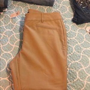 Ann Taylor Dress Pants